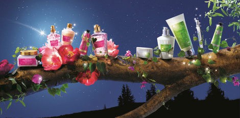 Colecciones navidad L'Occitane