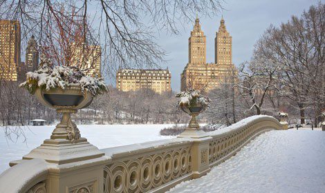 Central Park nevado