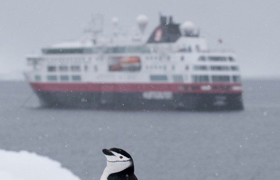 Crucero de pasajeros pasando por Isla Media Luna en Shetland del Sur