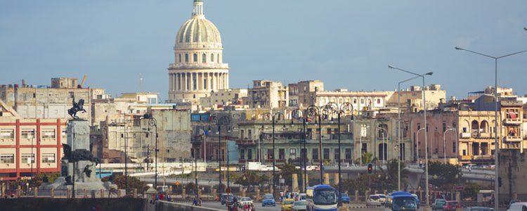 Actualmente ya podemos disfrutar de unas verdaderas navidades