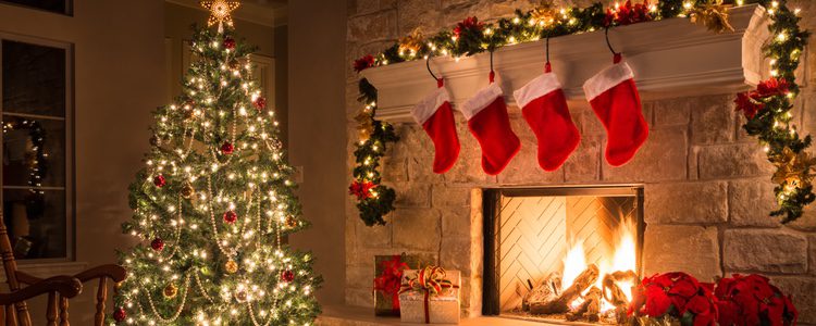 Las plantas son un muy buen elemento de decoración en Navidad