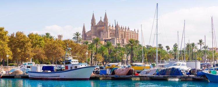 Puedes recorrer algunos de los senderos en Palma de Mallorca