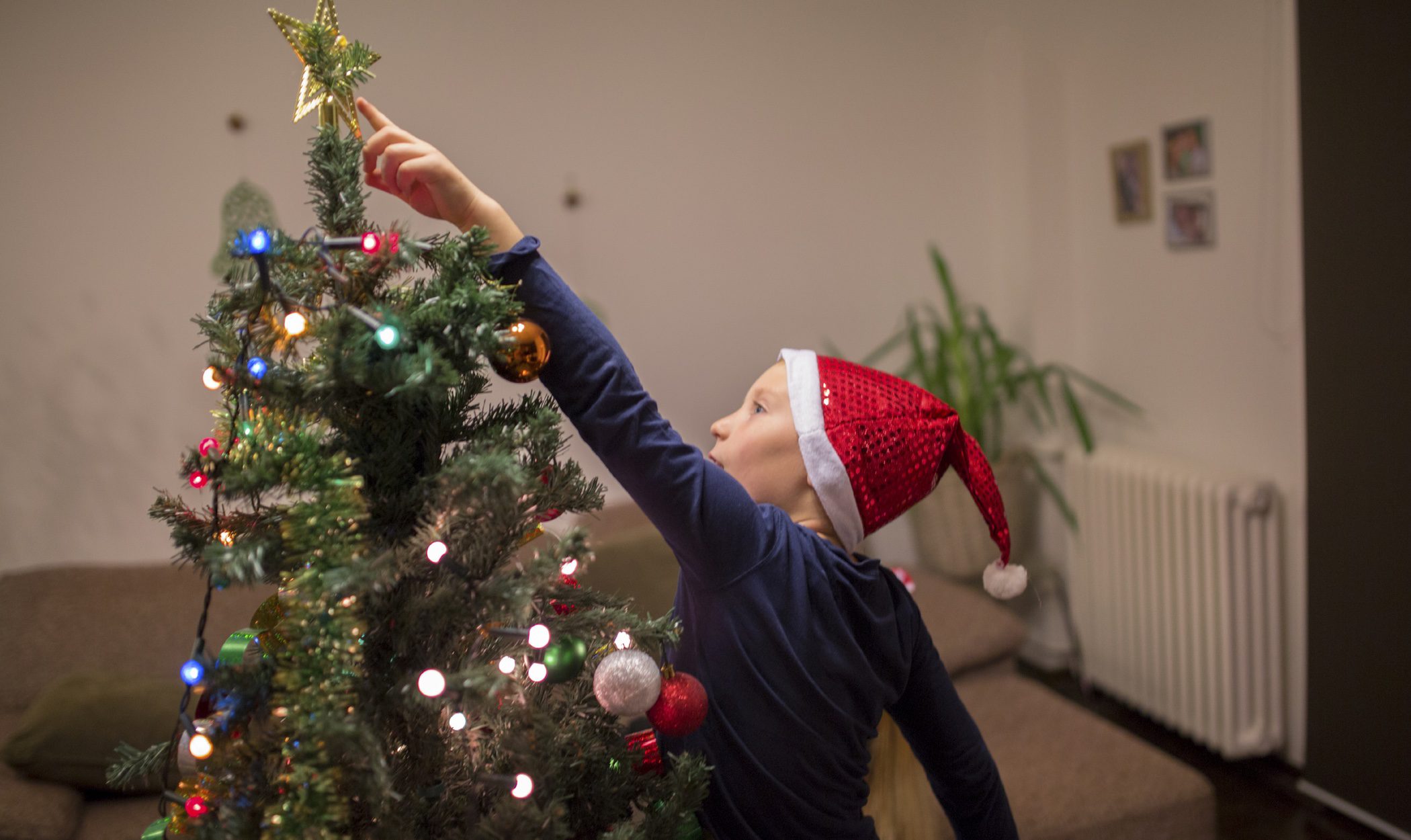 Árboles de Navidad tradicionales: decoración roja y dorada