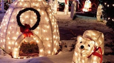 Cómo decorar el jardín con luces navideñas