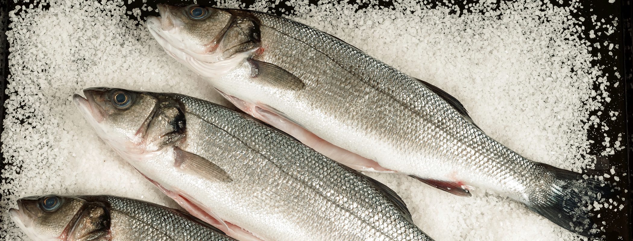 Pescados de Navidad: Lubina a la sal